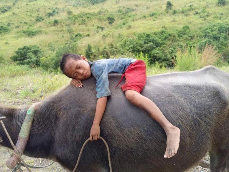 Balangiga Howling Wilderness scene