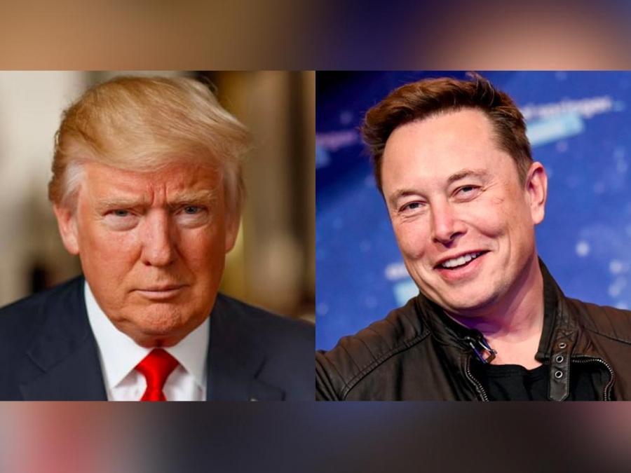 Elon Musk To Reinstate Trump's Twitter Account After Poll Shows Narrow ...