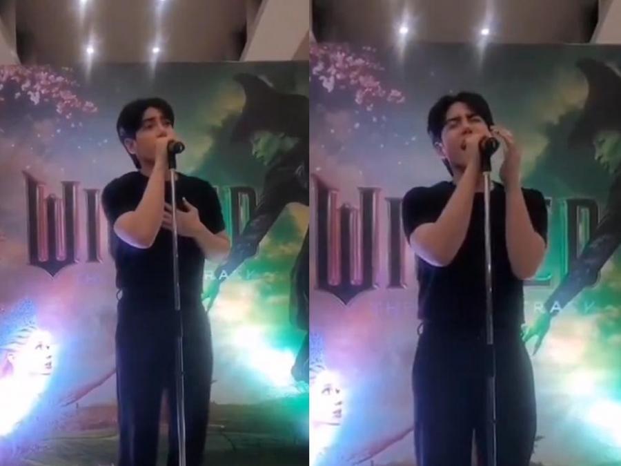 Stell defying gravity wicked cover