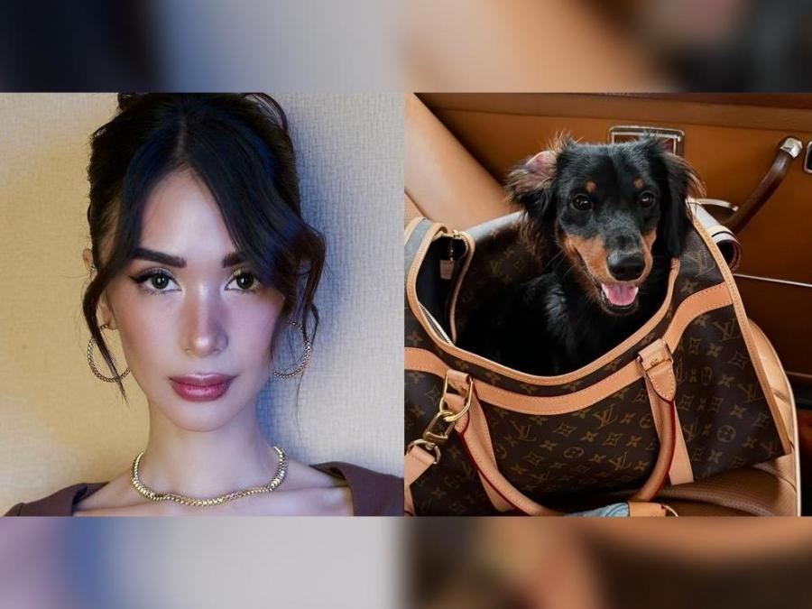 Heart Evangelista's fur baby travels in style in a designer bag