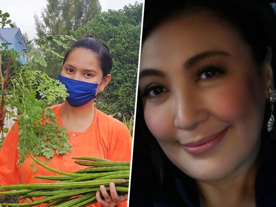 neri naig on sharon cuneta comment