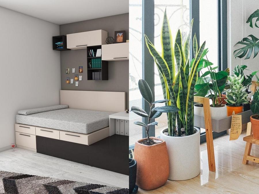 blueprint and indoor garden