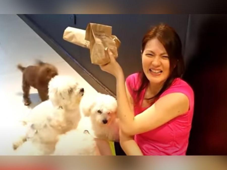 Carmina Villarroel and her fur babies