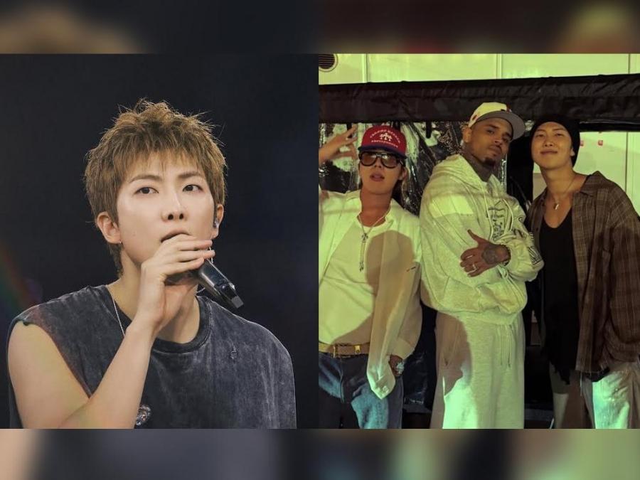 The Pixel Project indefinitely suspends RM of BTS as role model