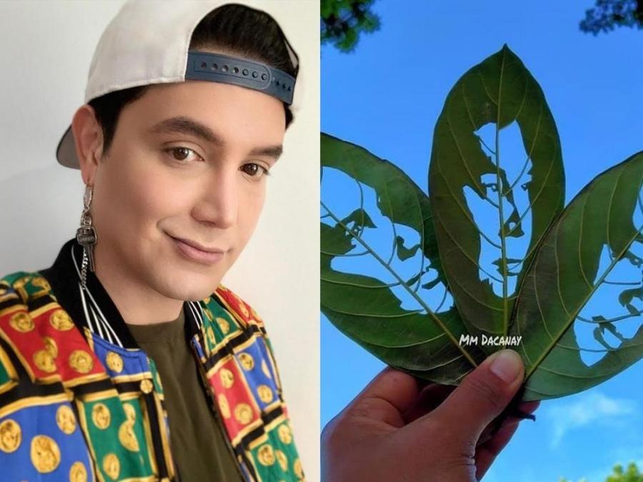 paolo ballesteros leaf profile
