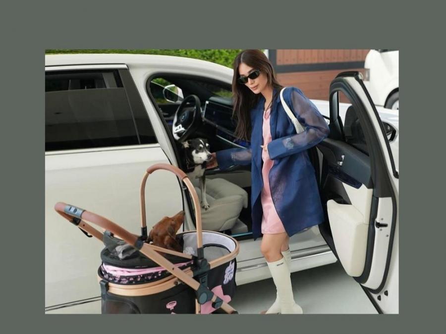 Heart Evangelista's pet is a certified furbaby in a stroller