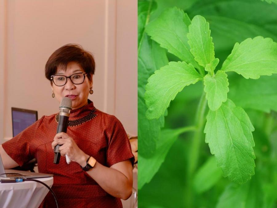 Is stevia a good sugar substitute?