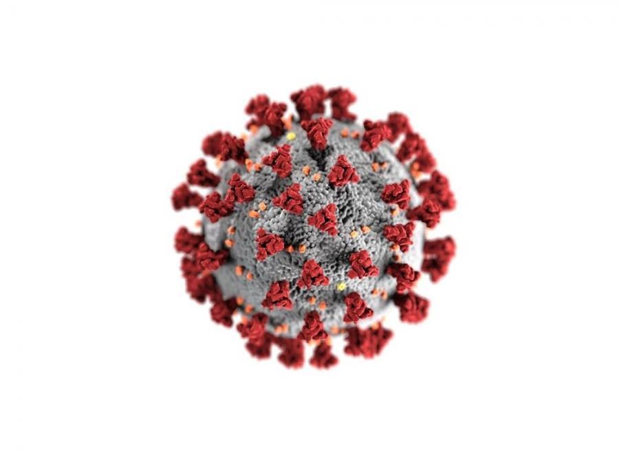 covid19 virus