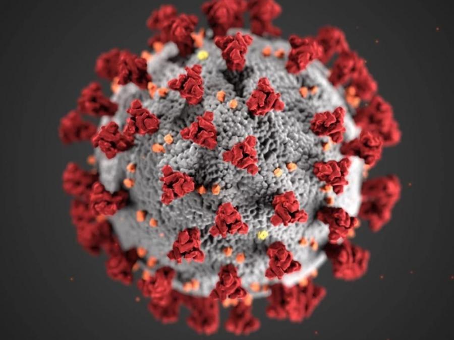 COVID-19 update in the Philippines