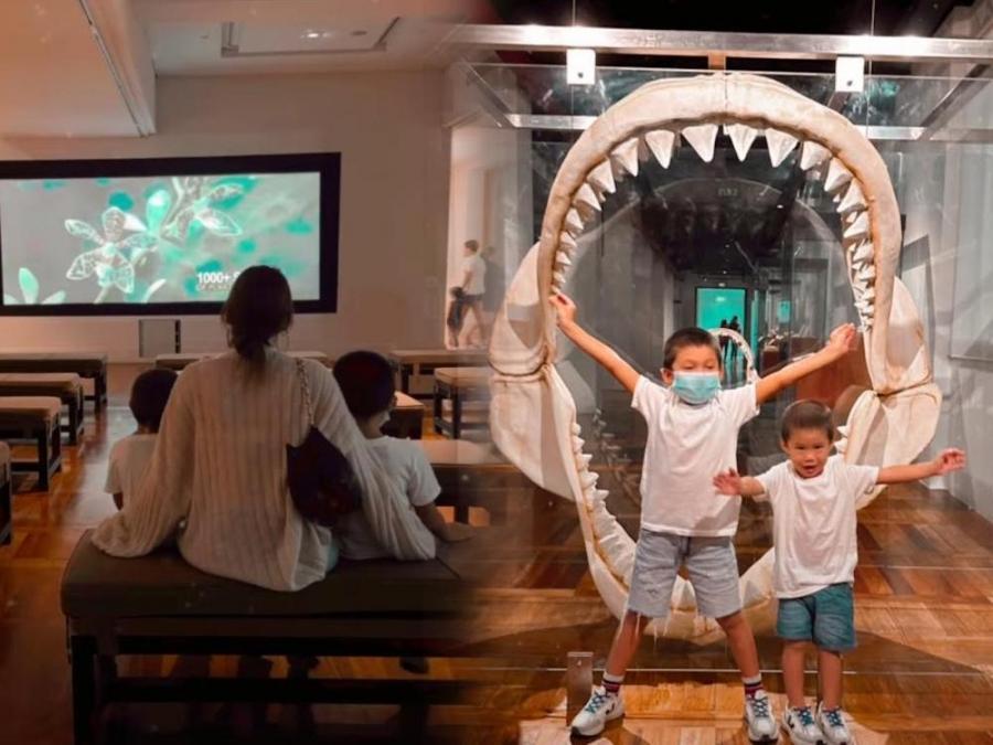 Kylie Padilla, Axl Romeo Abrenica, Alas Joaquin Abrenica