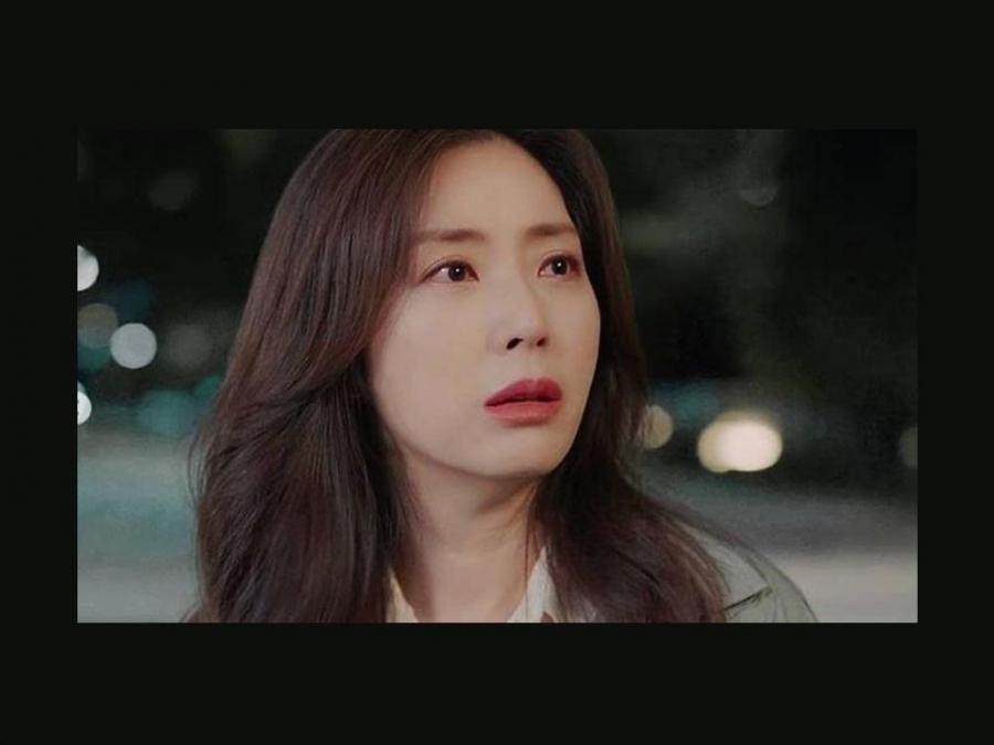 Show Window The Queens House