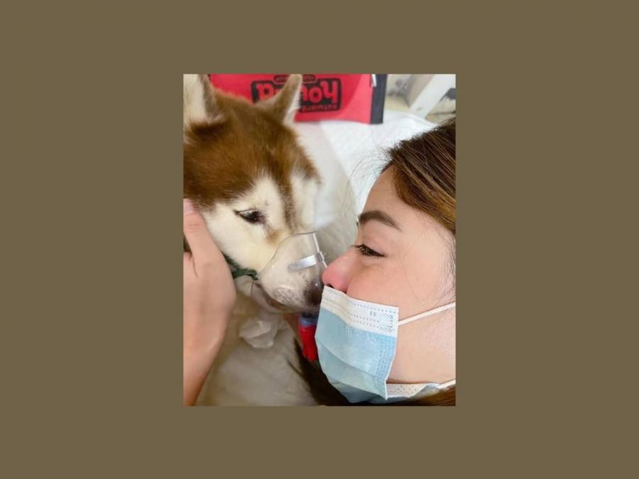 Shaira Diaz mourns the death of her fur baby Kakay | GMA Entertainment