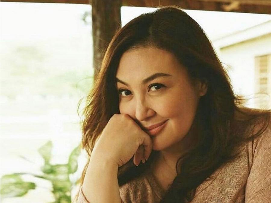 sharon cuneta kc concepcion piolo pascual