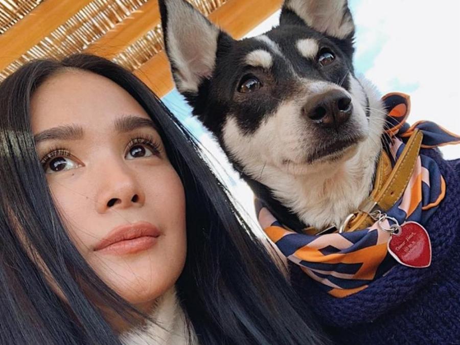 Look Heart Evangelista S Aspin Dog Wears An Expensive Scarf Gma Entertainment