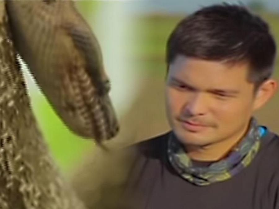 Amazing Earth Dingdong Dantes Learns The Dos And Don Ts When Bitten By A Snake GMA Entertainment