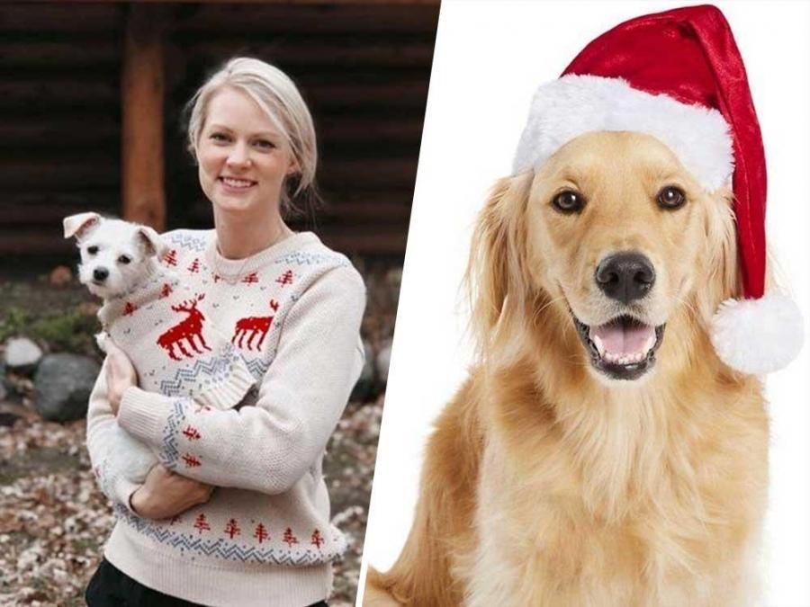 10 Christmas Gift Ideas For Your Beloved Puppy