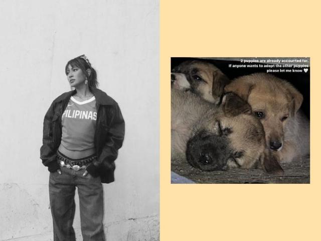 nadine lustre and puppies