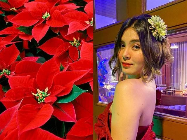 Celebrity birth flowers