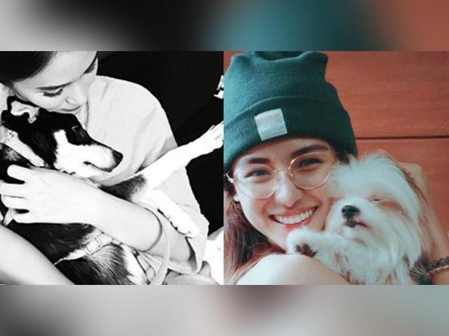Cute pets of Filipino celebrities