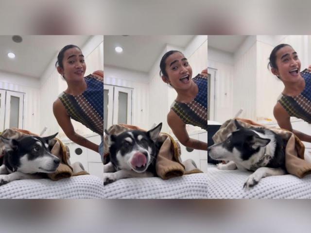 Bretman Rock and Heart Evangelista dog Panda