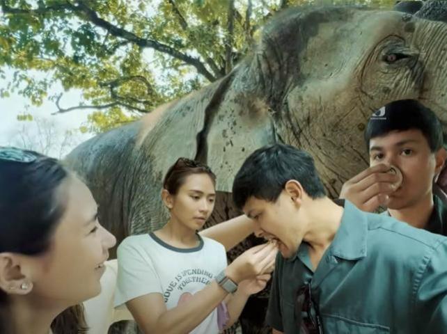 Matteo Guidicelli and Sarah Geronimo in Thailand