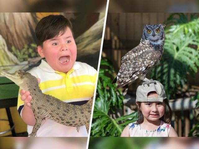 scarlet snow belo and baby baste