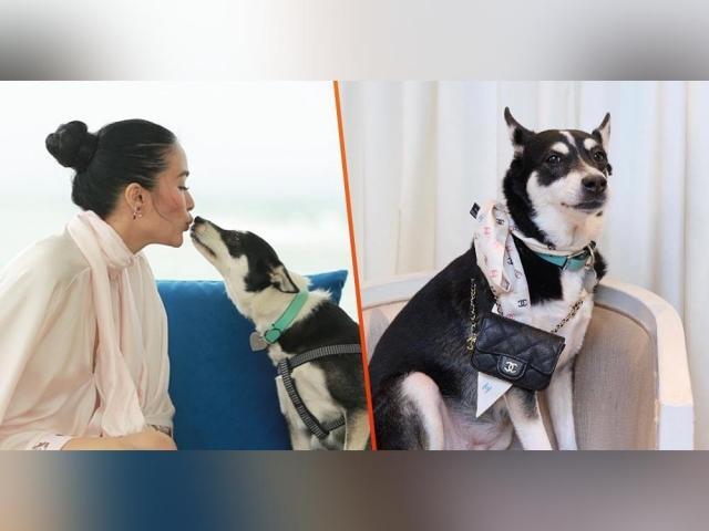 Heart Evangelista and Panda