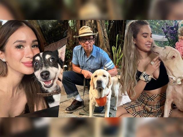  heart evangelista and hungry syrian wanderer