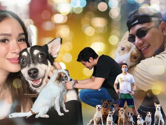 celebrities and their aspins