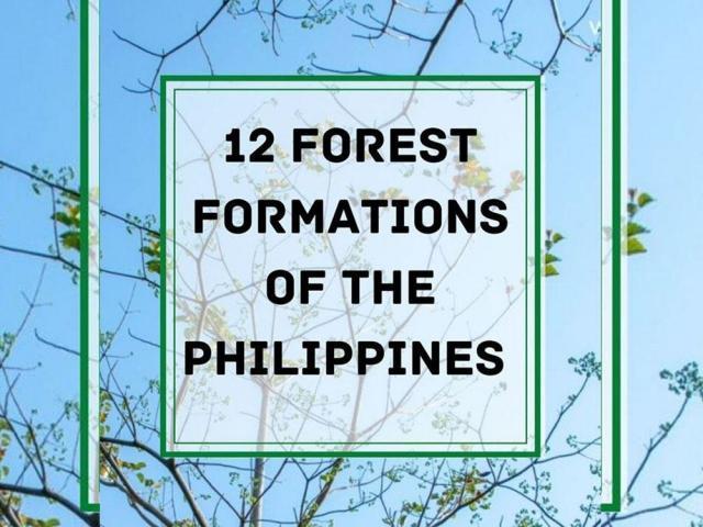 Forest formations in the Philippines