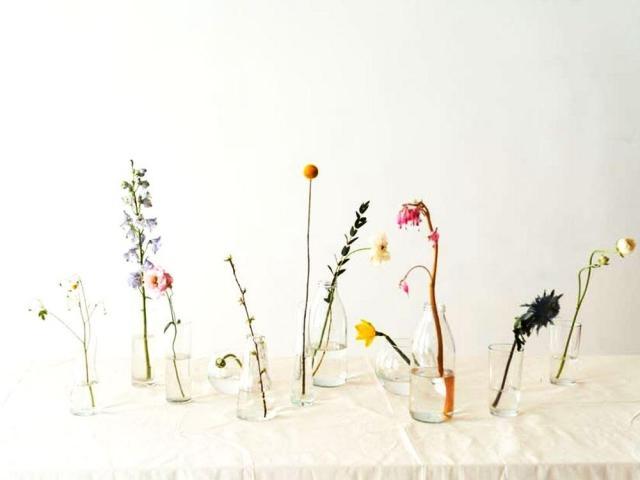 aesthetic houseplants in water