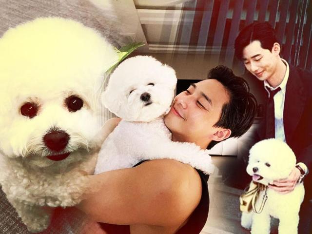 Park Seo Joon and his dog Simba