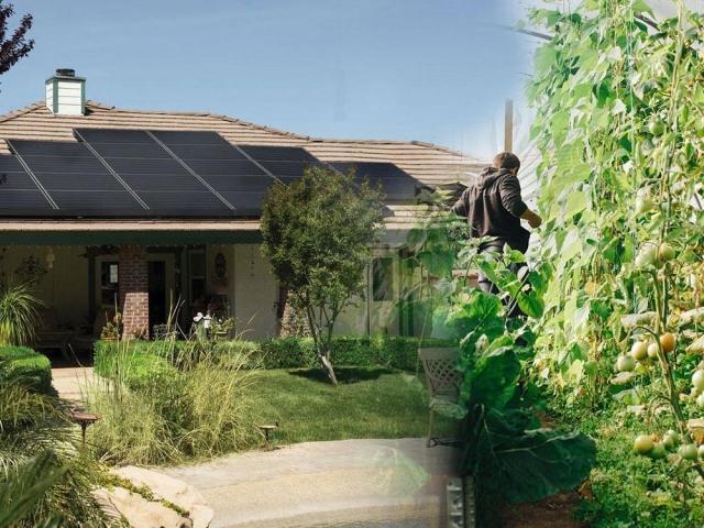 home garden and solar powered light