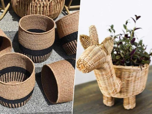 abaca planters