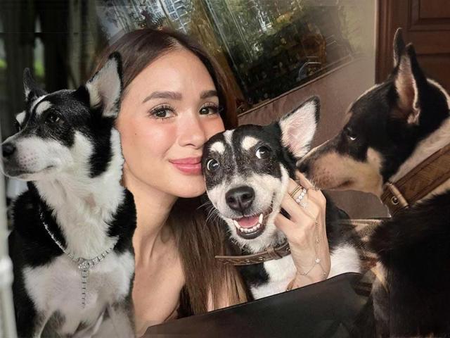 Heart Evangelista and Panda