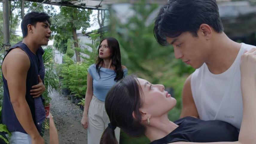 Green Thumb, Pure Heart