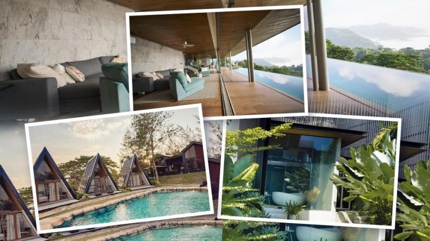 Celebrity homestays