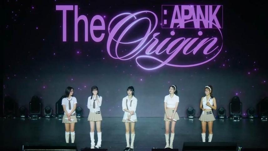 APINK