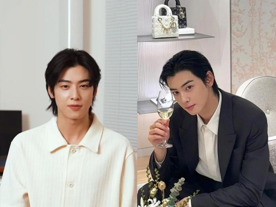 Cha Eun woo 2024 tour