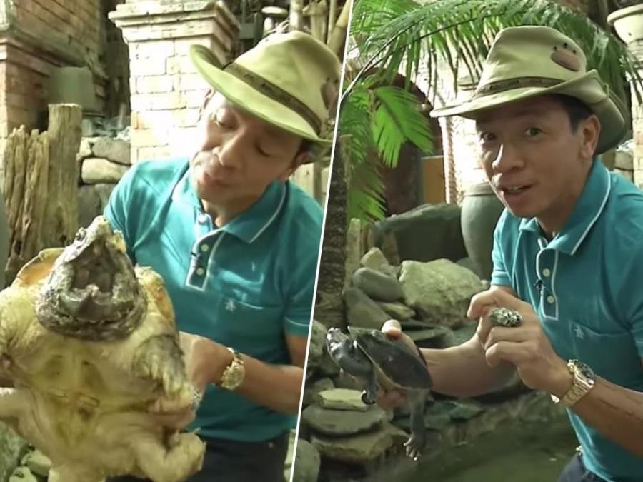 kuya kim atienza and his turtles