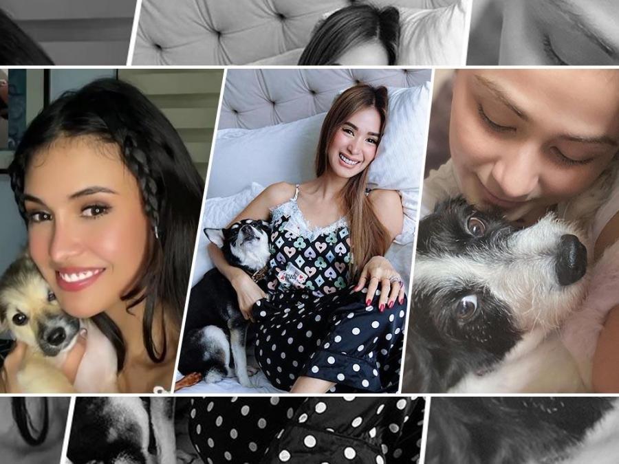 IN PHOTOS: Celebrities and personalities who have adopted pets | GMA  Entertainment