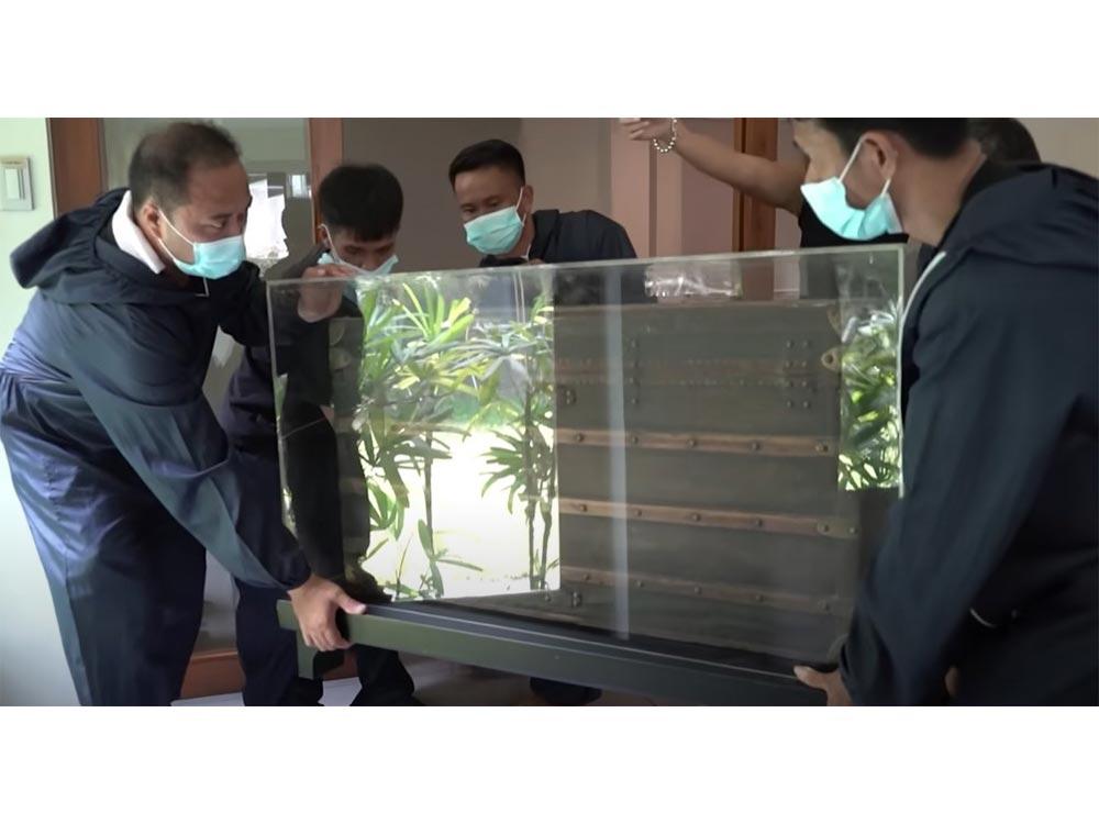 Louis Vuitton travel trunk