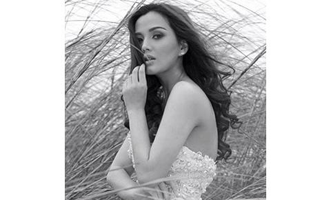 Deniece Cornejo vs. Vhong Navarro