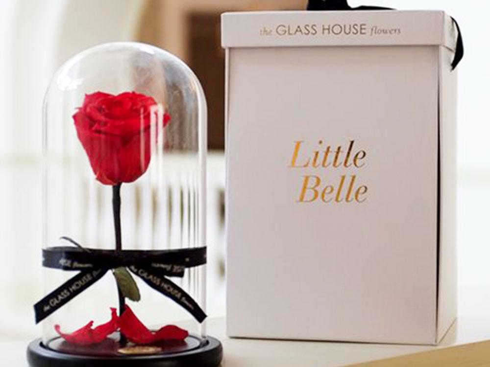 Modern Flower Gift from The Glass House Flowers