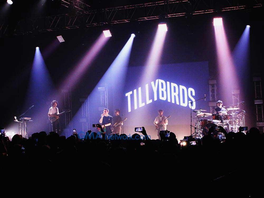 Tilly Birds