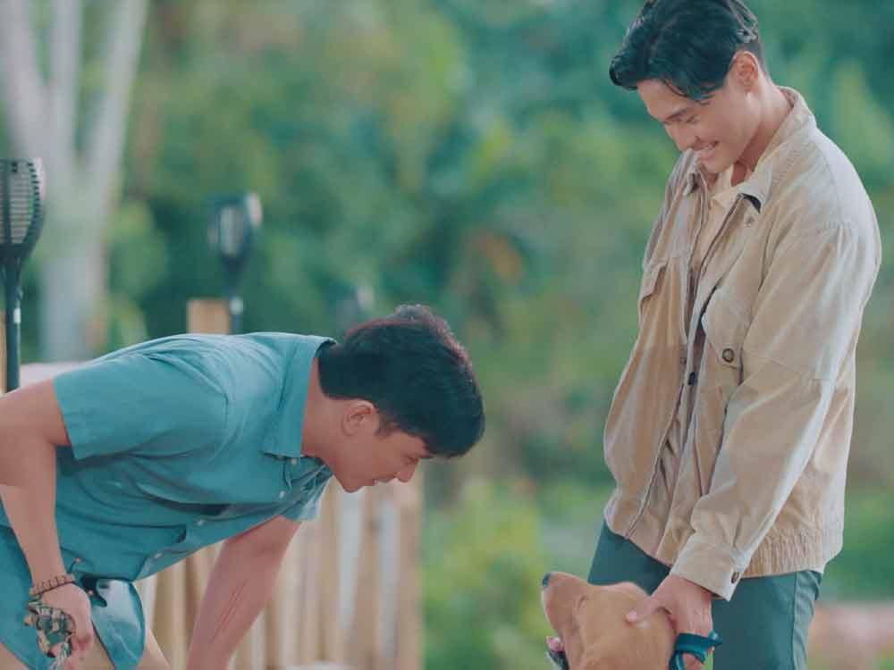 Meet Your New Furbabies