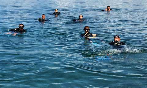 'Kambal Sirena' stars suit up for diving