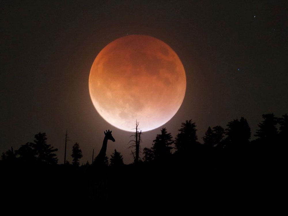 Crowborough, East Sussex, England