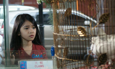 Ada's affinity with birds