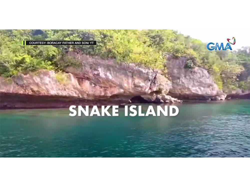 World's most dangerous snake